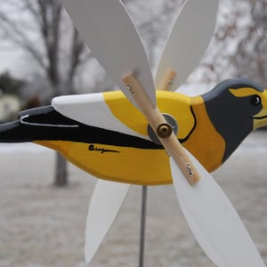 Evening Grosbeak