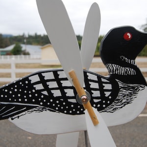 Common Loon Whirligig