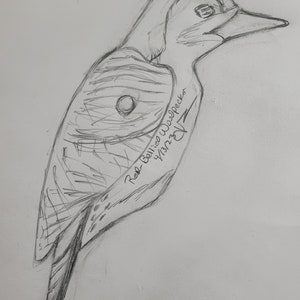 Red-Bellied Woodpecker Whirligig image 5
