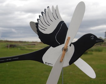 Magpie (Black-Billed) Whirligig