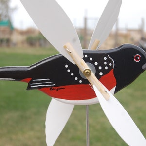 Towhee tacheté