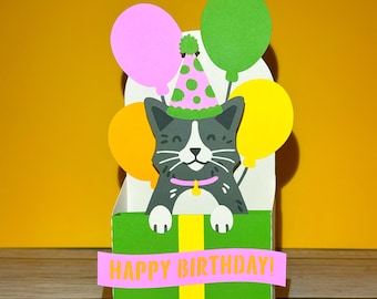 Cat Pop Up Birthday Card