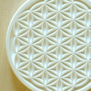 flower of life / flower of life / sacred geometry / sacred geometry
