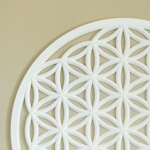 XXL flower of life / flower of life / sacred geometry