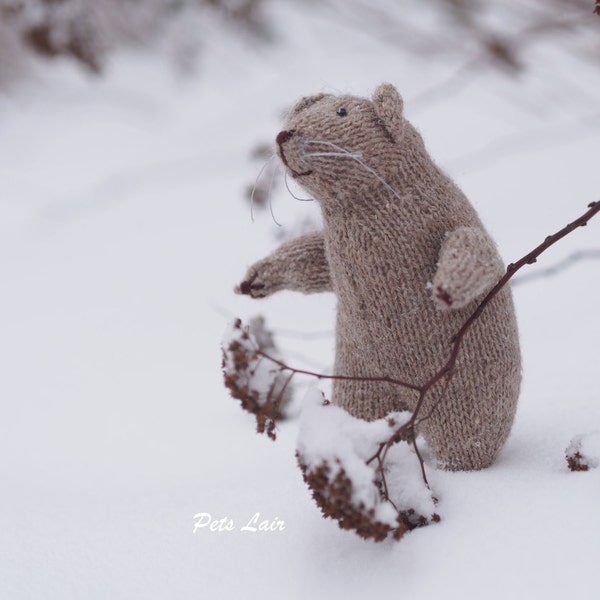 ratto grigio giocattolo, giocattolo grigio topo, ratto, bianco, maglia giocattolo, regalo del bambino, giacca di lana bianca, giocattolo carino, amigurumi, filati per maglieria, animali imbalsamati