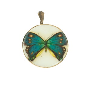 Blue and White Butterfly Pendant