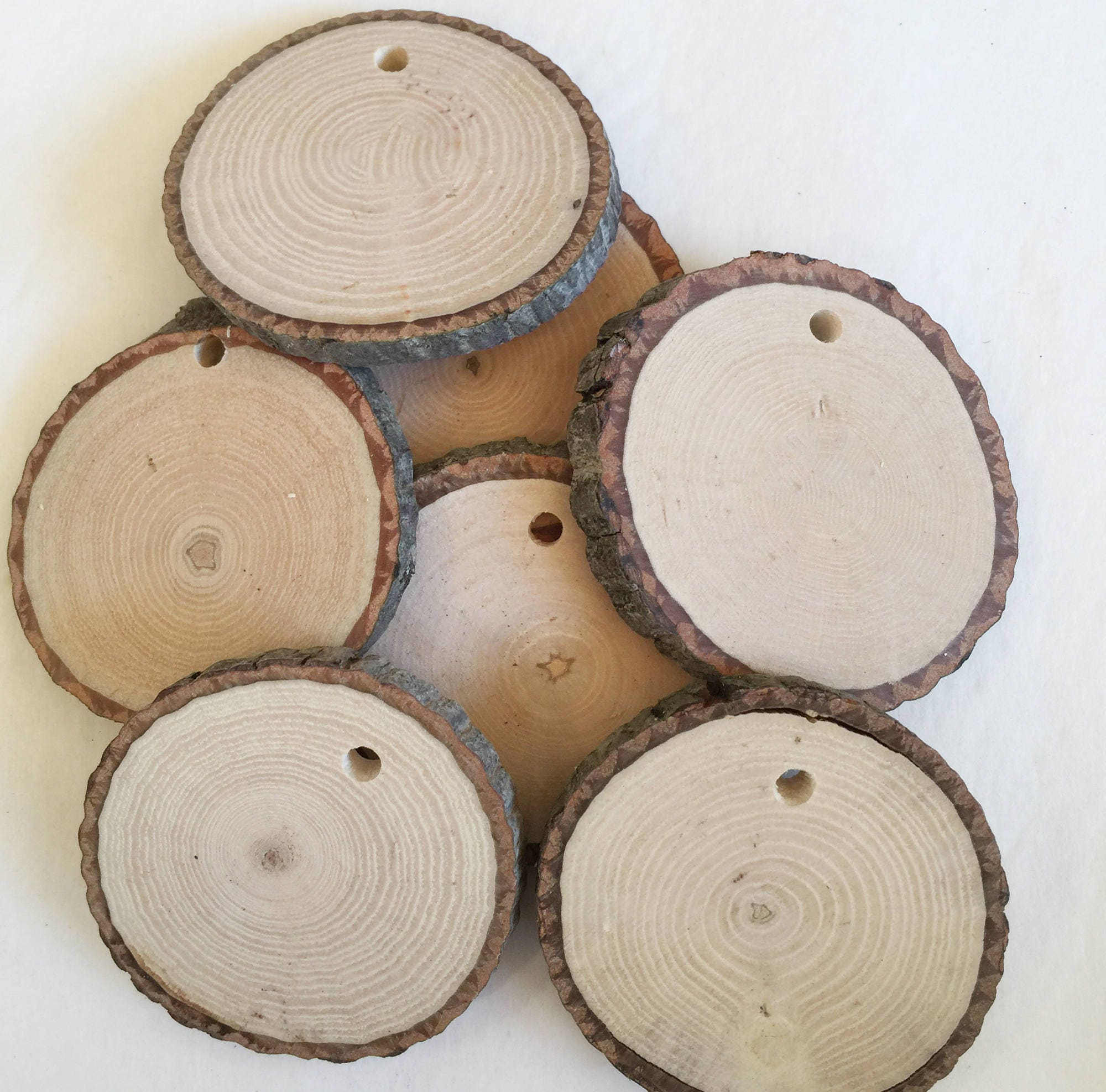 Drilled wood slices - 10 - 2 to 2.5 inch in diameter tree slices - cr…