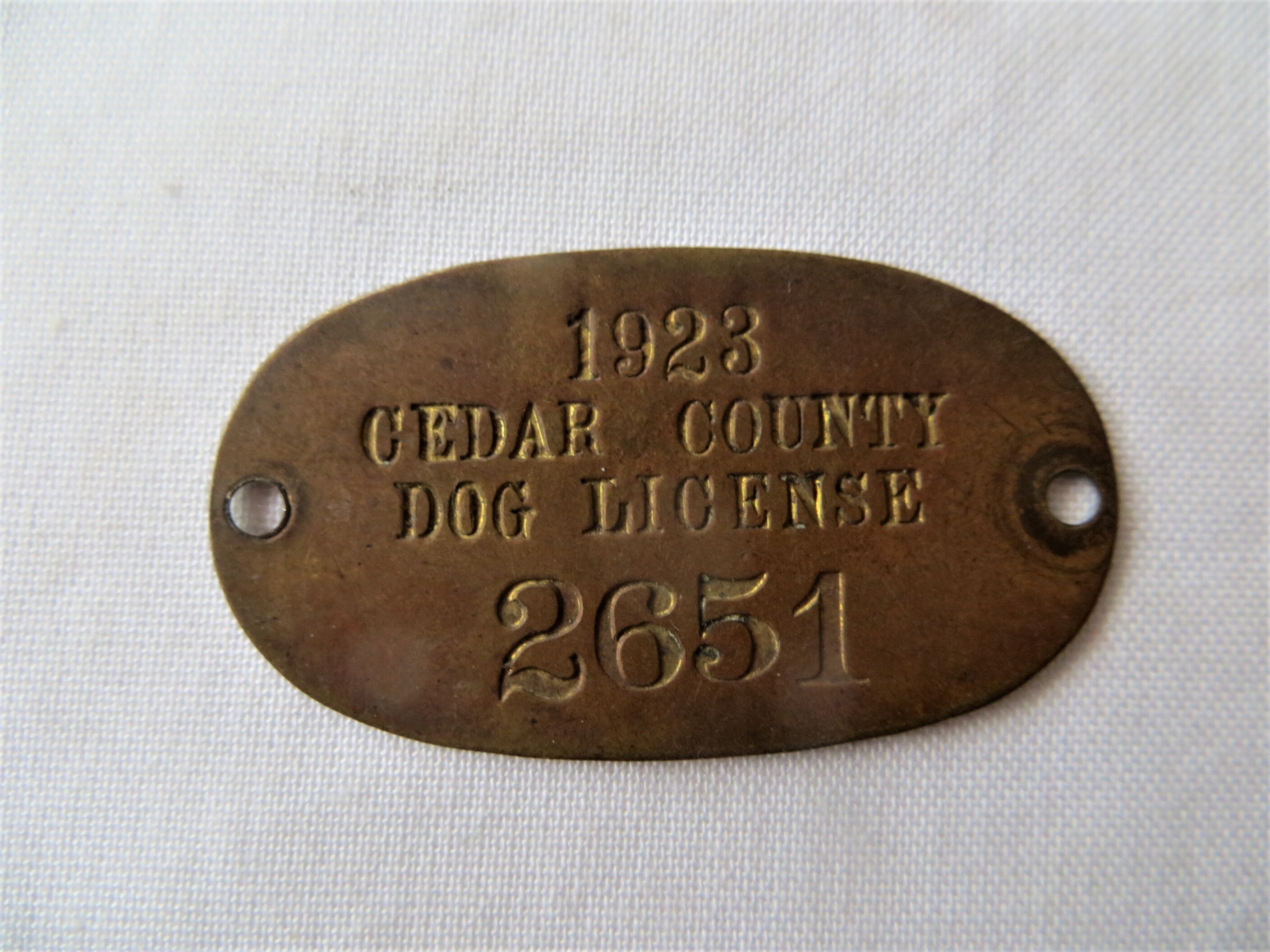 1923 Brass Dog Tag License Cedar County Iowa Collectible Pet Etsy