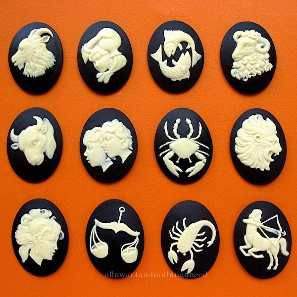 12 Astrological Zodiac Birth Sign Astrology Star Sign Ivory Color on Black 40mm x 30mm Resin Cameo CAMEOS LOT for Making Costume Jewelry