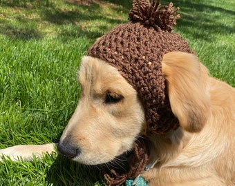 Dog Hat, Crochet Hat, Knit Dog Hat, Crochet Dog Hat, Pet Hat