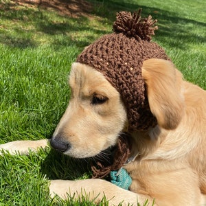 Dog Hat, Crochet Hat, Knit Dog Hat, Crochet Dog Hat, Pet Hat, Crochet Pet Hat, Knit Pet Hat, Small Dog Hat, Large Dog Hat