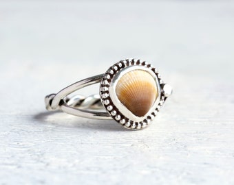 Cockle Sea Shell Pinky Ring