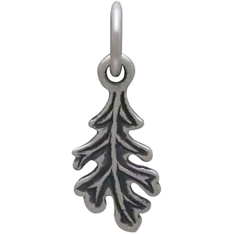 May include: A silver-toned charm in the shape of an oak leaf. The leaf has detailed veining and a textured surface. The charm is suspended from a small, round loop, designed to be attached to a necklace or bracelet. The charm is approximately 1 inch in length.