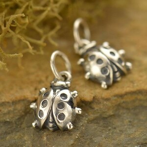Könnte beinhalten: Zwei silberne Marienkäfer-Anhänger mit detaillierten Flügeln und schwarzen Punkten. Die Anhänger sind perfekt, um Schmuck oder Bastelarbeiten mit einem Hauch von Verspieltheit zu versehen.