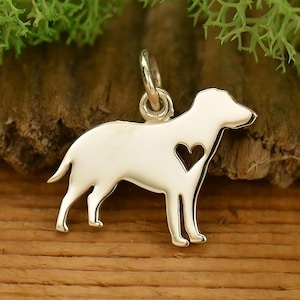 Colgante de plata 925 Labrador con perro corazón