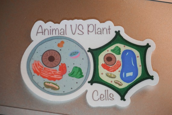 plant cell project ideas