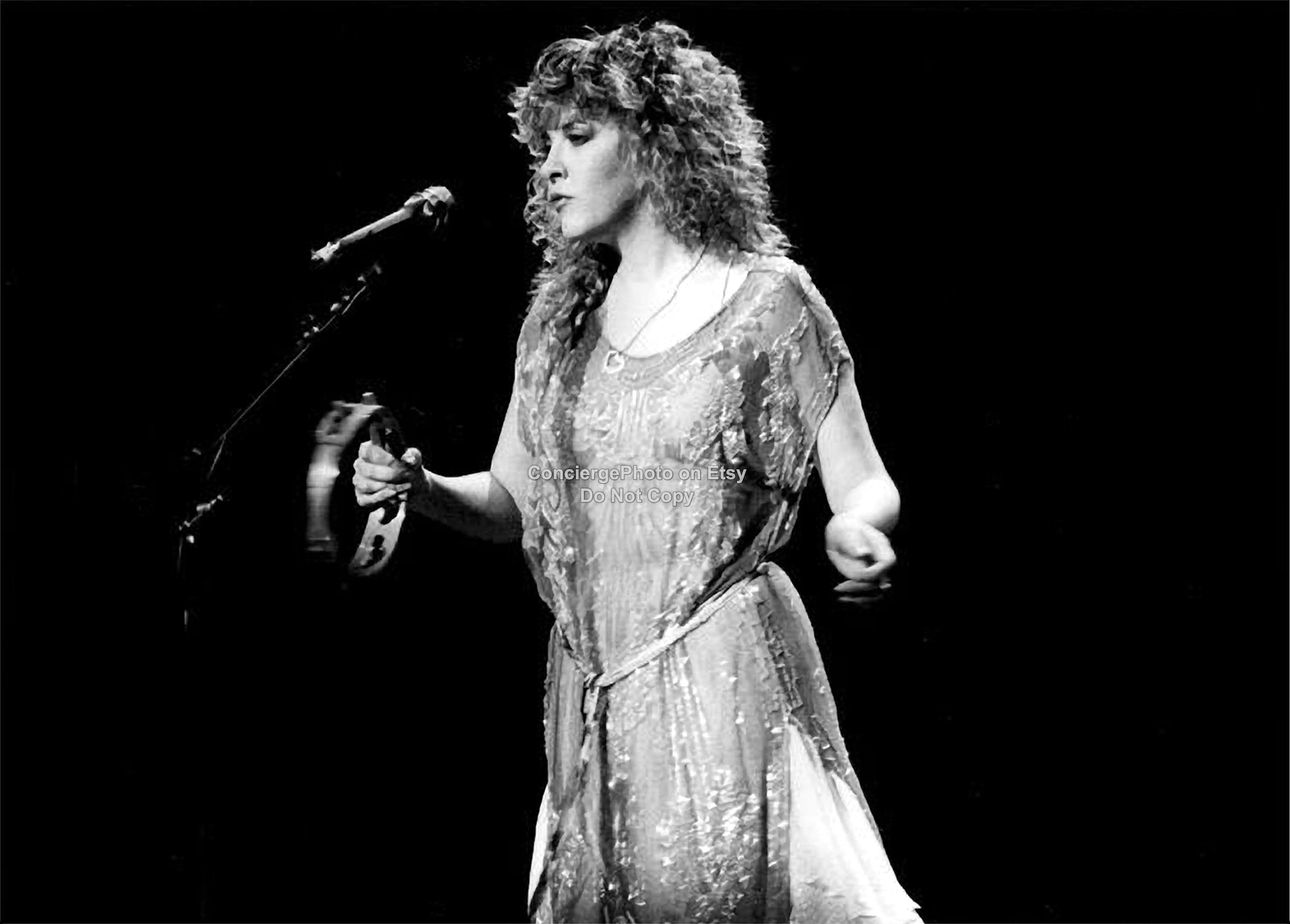 fleetwood mac tour stevie nicks