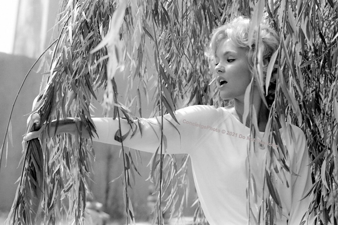 Tuesday Weld smiling in Black and White Photo Print - Item # VARCEL706817