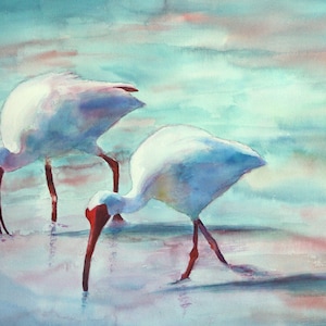 Stampa ad acquerello originale Ibis Birds 5" x 7"