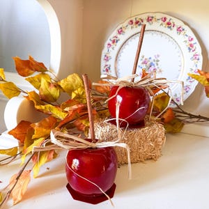May include: Two glossy red candy apples, each featuring a brown stick inserted into the top and decorated with a natural raffia bow. The apples are positioned near autumn-colored foliage and a decorative plate with a floral pattern.