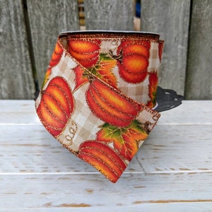 Könnte beinhalten: Eine Rolle beige-orangefarbenes Band mit einem Kürbis- und Blattmotiv. Das Band hat eine glitzernde Oberfläche.