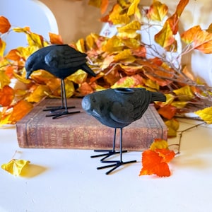 Pode incluir: Dois castiçais pretos em forma de pássaro, com pernas longas e finas. Estão pousados em um livro antigo, rodeados por folhas de outono em tons de laranja, amarelo e verde. Os castiçais são um adorno decorativo.