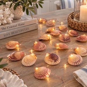 May include: A string of decorative fairy lights featuring natural scallop shells as light covers. Each shell is illuminated from within by a small warm LED bulb, connected by a thin copper wire. The shells display natural tan and brown hues.