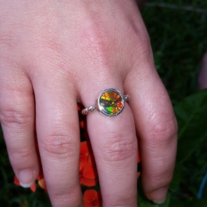 Ammolite Ring in Sterling Silver  FREE SHIPPING