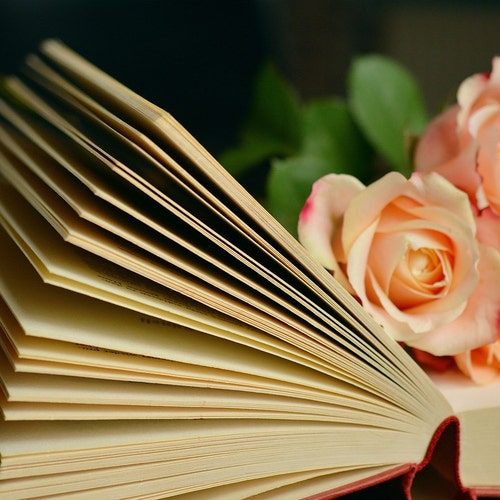 CoversideBooks - Etsy