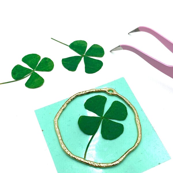 Four Leaf Clover, lucky charm, dried flowers, st patricks day,  dyed green for resin crafts art floral jewelry uv epoxy resin, keychains,