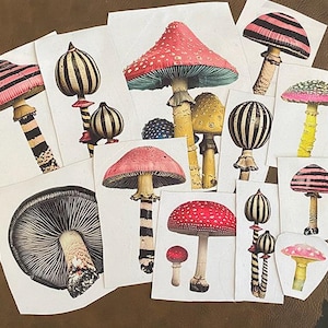 May include: A collection of rectangular paper cutouts featuring various mushroom illustrations. The designs include red, pink, yellow, and black-and-white striped or spotted fungi with detailed gills, stems, and caps arranged in a scattered overlapping layout.
