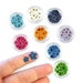 d-240 small dried  flowers for jewelry, mini tiny assorted colors daffodils, pressed flower uv epoxy resin candles, open back bezel 