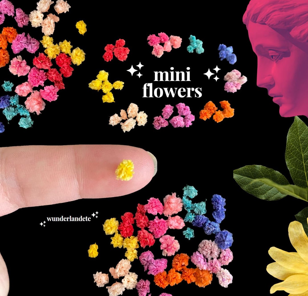 Small Dried Flowers for Jewelry, Mini Flowers, Tiny Flowers for Uv