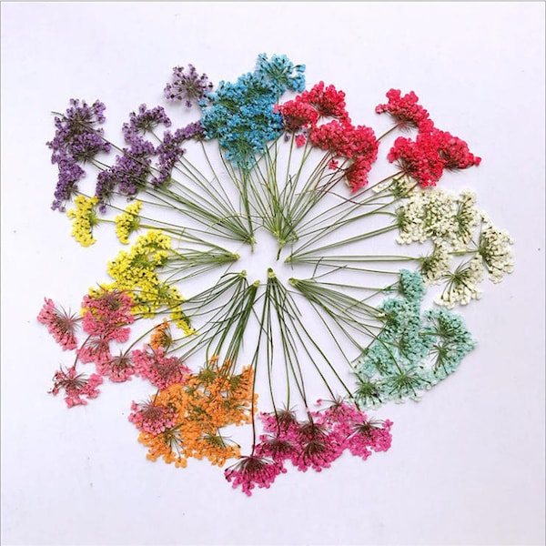 VENTA pequeñas flores de encaje diminutas con tallos, velas, resina uv, arte de uñas, suministros de joyería de resina floral, flores prensadas secas, pendientes de resina