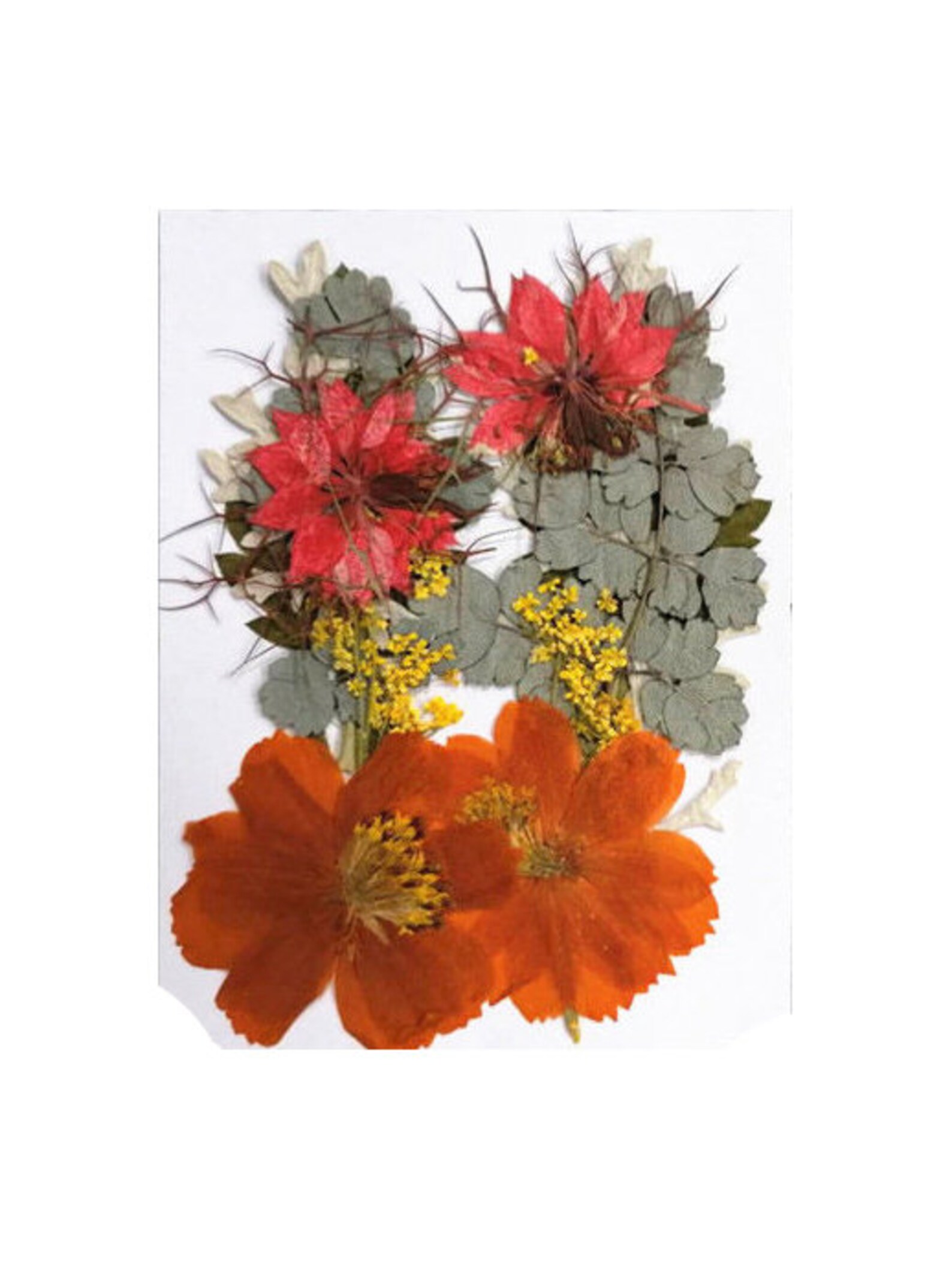 flower back packs