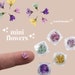 e100 small dried  flowers for jewelry, mini tiny colors nail art, pressed flower for uv epoxy resin candles, open back bezel crafts diy 