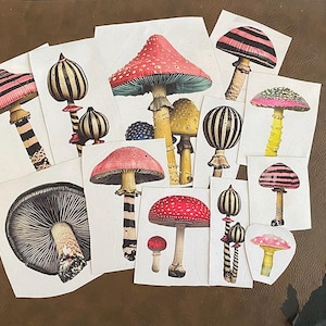 May include: A collection of colorful mushroom illustrations on white paper. The mushrooms feature various designs, including red caps with white spots, striped caps, and yellow and black patterns. The images are arranged on a brown surface.