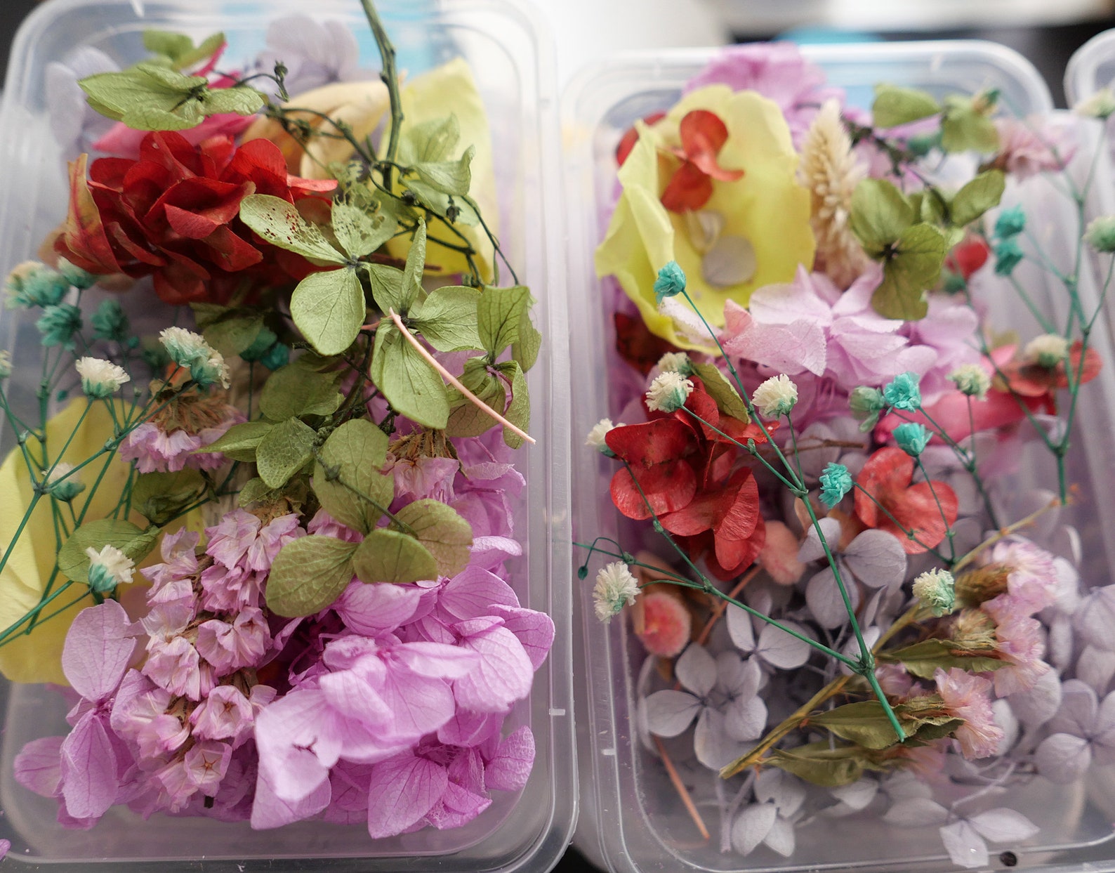 Dried Flowers Box of Dry Flowers Epoxy Resin Art Flowers Etsy