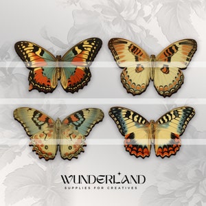 butterfly butterflies cutouts for altered art/mixed media, doll woodcuts, jewelry, pins assemblage, junk journal collage diy wall decor