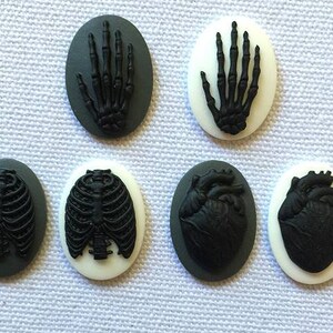 May include: Six black and white oval-shaped buttons with anatomical images. The images include a rib cage, a heart, and a hand.