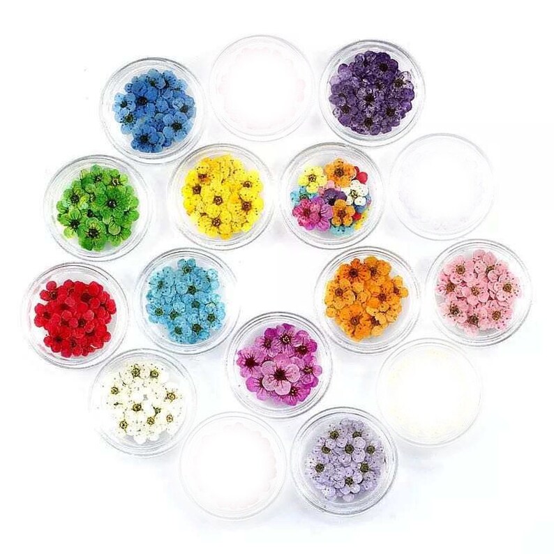 D240 Small Dried Flowers for Jewelry Mini Tiny Assorted Etsy