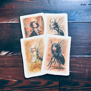 May include: Four watercolor illustrations of fairies with insect wings. Each fairy has a different insect wing design, including a beetle, a dragonfly, and a bee. The illustrations are on white card stock with a light brown background.
