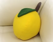 Lemon Pillow, Lime Pillow, Food Pillow, Fruit Pillow, Toy Pillow, 3D Pillow,  Beach House Decor