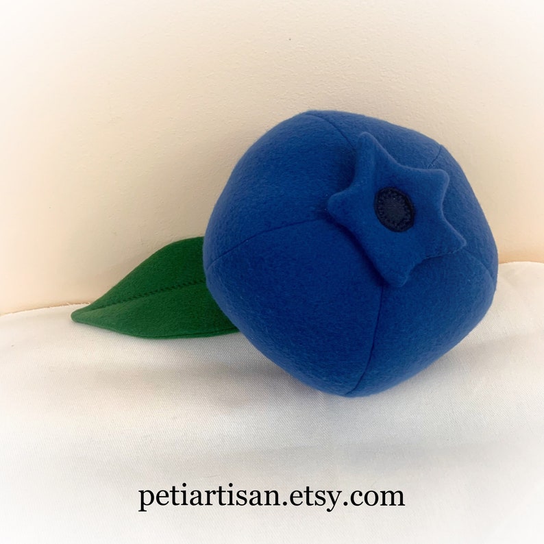 Blueberry Pillow, Fruit Pillow, Food Pillow, Toy Pillow, 3D Pillow
