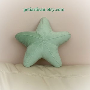 Starfish Shaped Pillow, Toy Pillow, 3D Pillow, Nautical Decor, Beach House Decor, Aqua, Pink pillow Sage