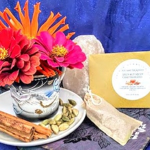 Spicey but Nicey Organic Chai Tea, individual chai tea bag, stocking stuffer, teacher gift, tea lover gift, chai lover gift, organic chai