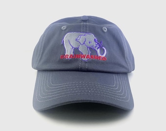 Brainwashed Cap // Dad Hat // Window // Fun // Hats // Caps