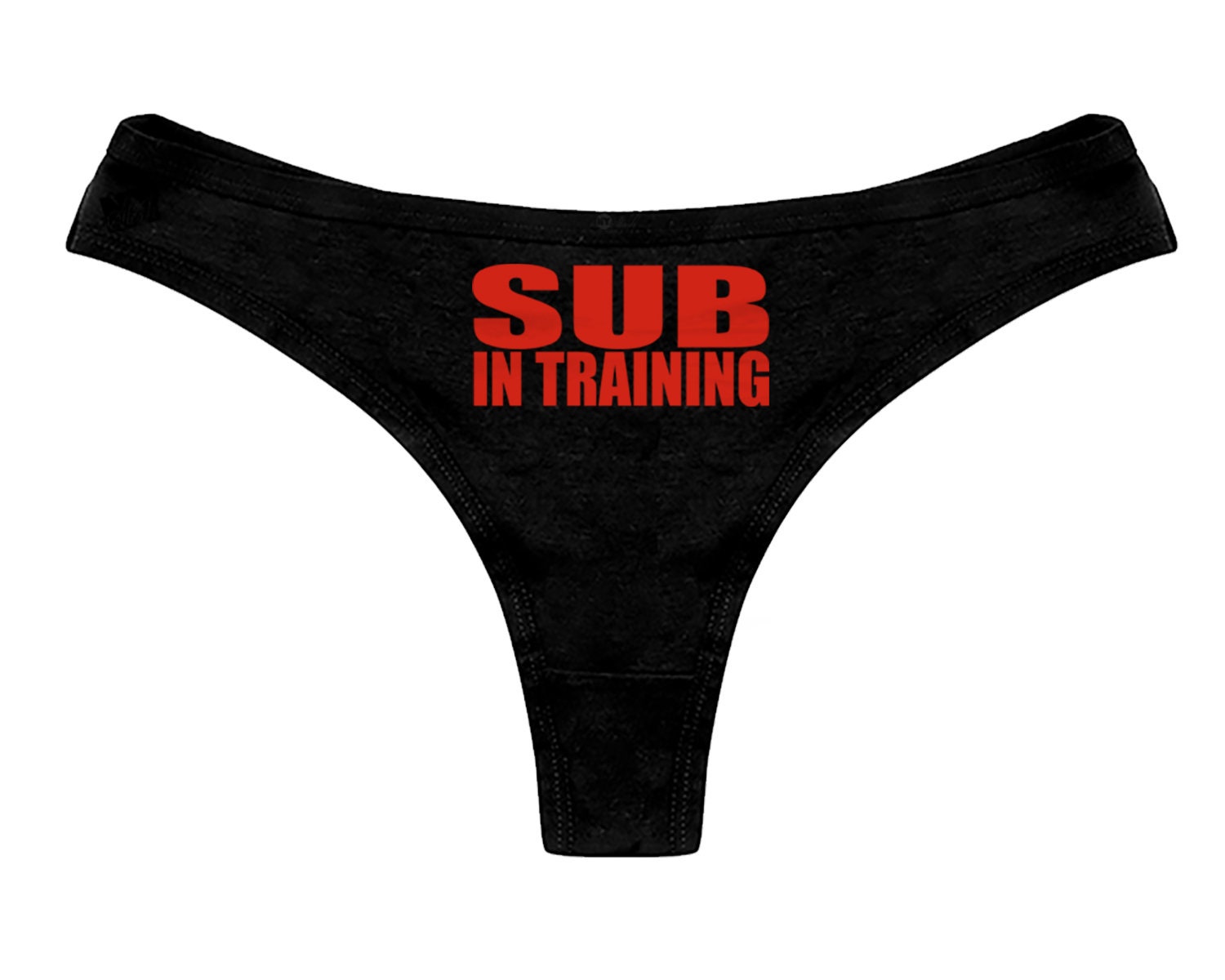 SUB In Training Panties Sexy Slutty BDSM Collared Submissive Funny