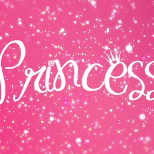 Princess Decal Laptop Sticker Car Decals  Appliance Window Sticker