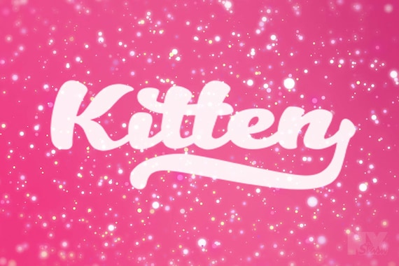 Kitten Decal Laptop Sticker Car Decals  Appliance Funny Decal Window Sticker